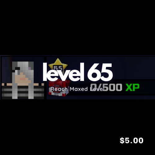 LEVEL 65